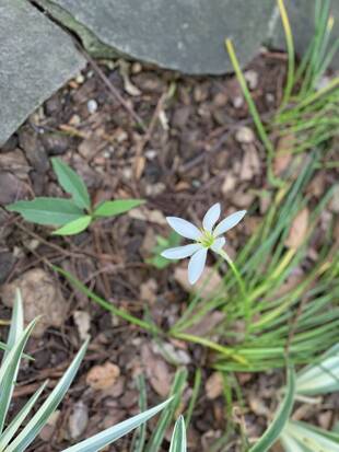 エリスマン邸 小さい秋を見つけたよ
