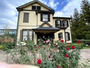 外交官の家　きれいな秋バラ