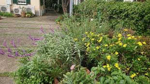 山手234番館のお庭から