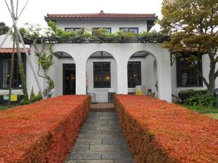 山手111番館 ドウダンツツジの紅葉が始まりました。