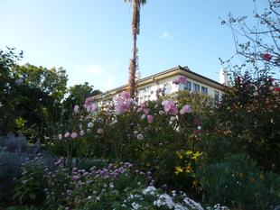 横浜市イギリス館 秋の装い