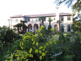 ベーリック・ホール 庭園のお花