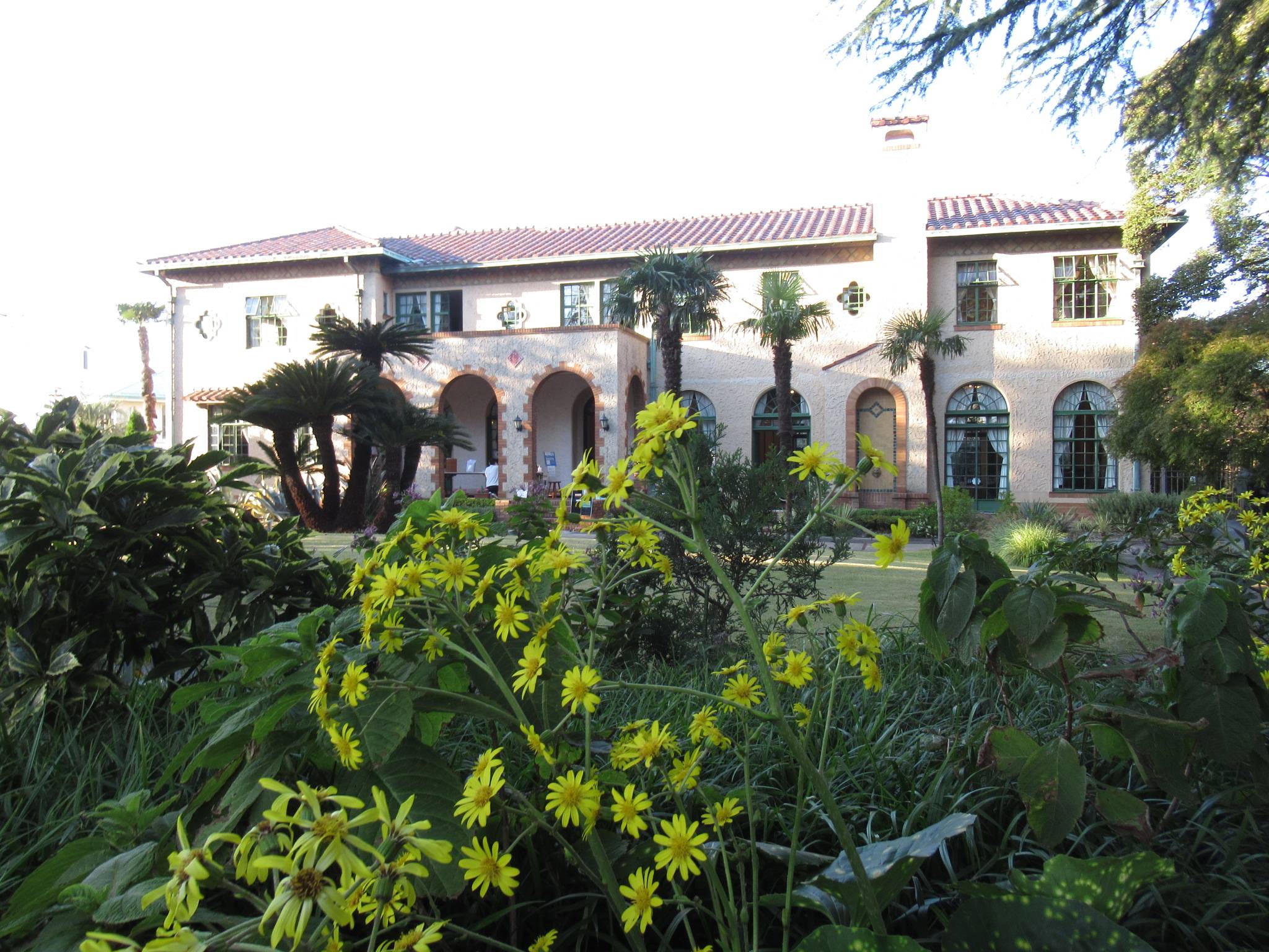 ベーリック・ホール　庭園のお花の写真