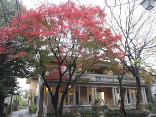 山手234番館　紅葉