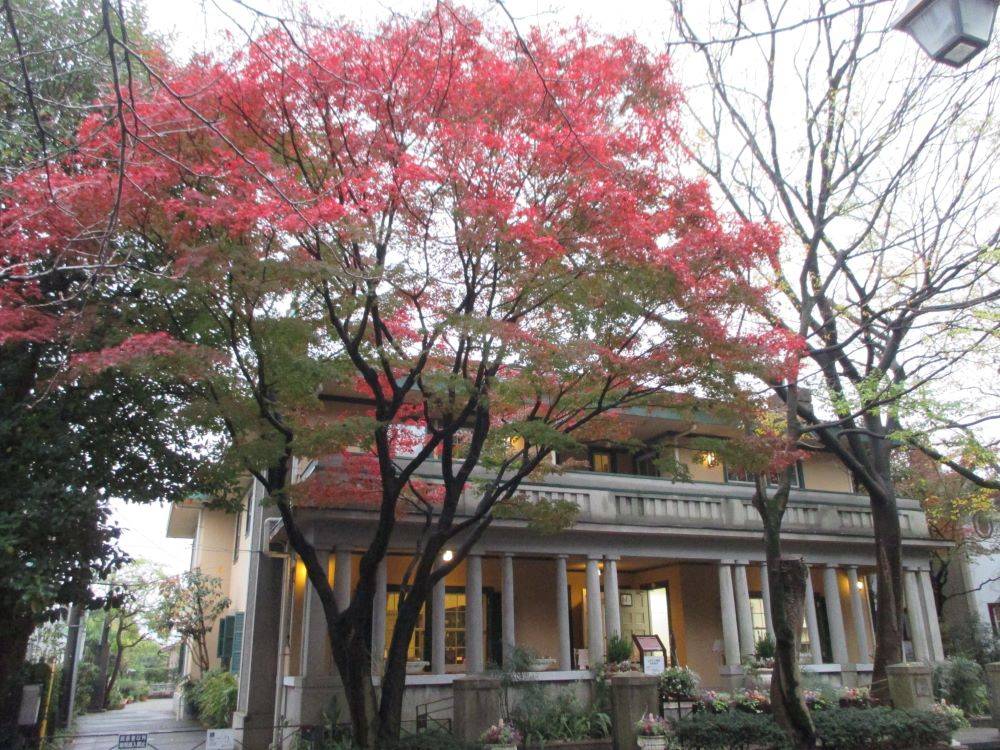 山手234番館 紅葉の写真