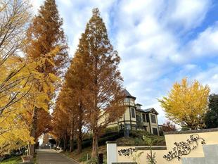 黄葉がきれいな庭園