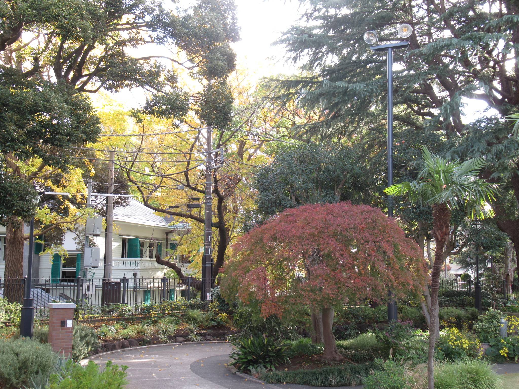 ベーリック・ホール 庭園の紅葉の様子の写真