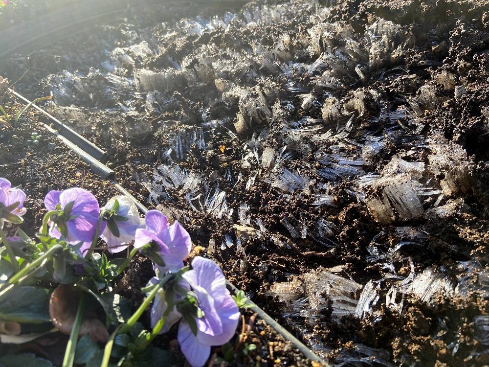 外交官の家 冬の芸術の写真