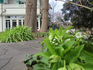 エリスマン邸の前庭で