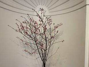 横浜市イギリス館 さ・く・ら