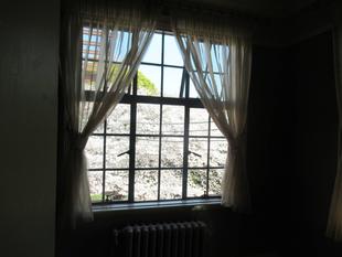 【ベーリック・ホール】桜開花情報【3月27日】