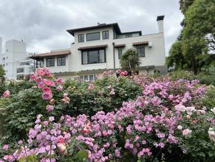 山手通信131号を発行しました。