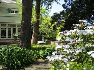 エリスマン邸　新緑の眩しい季節に