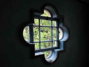 ベーリック・ホール　桜開花情報【4月4日】