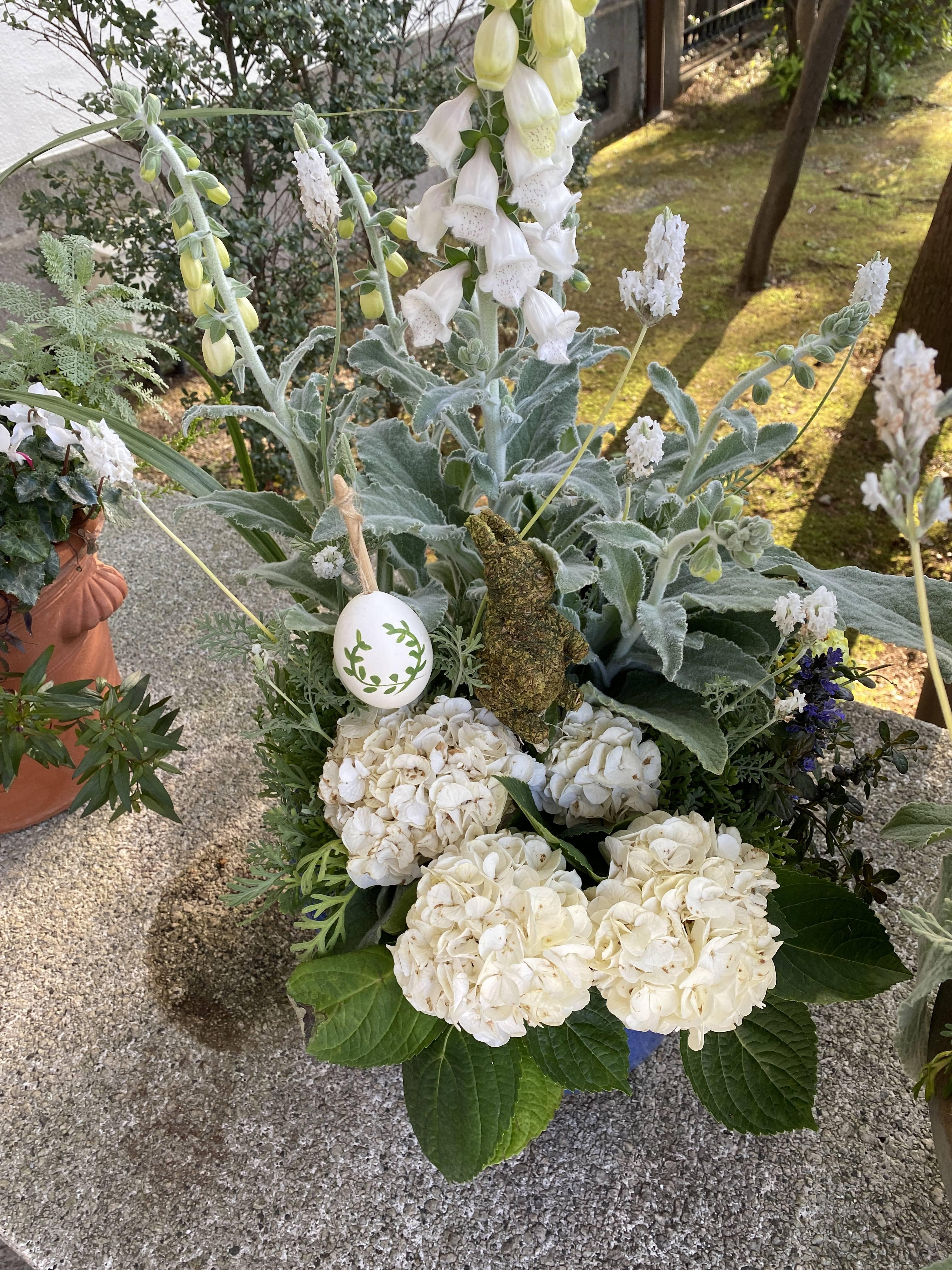 イギリス館 イースターの寄植えの写真