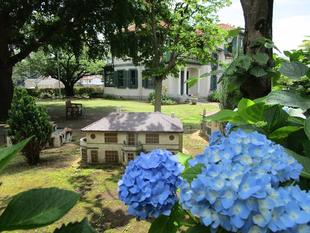 ブラフ18番館 初夏のたより