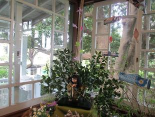 テニス発祥記念館 端午の節句装飾