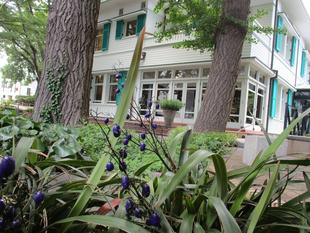 エリスマン邸を囲む元町公園の初夏の花々