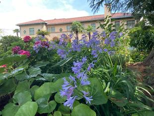 ベーリック・ホール 庭園の様子