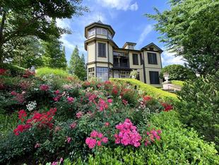 外交官の家：梅雨の晴れ間に