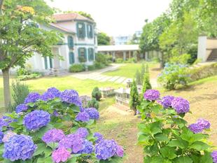 外交官の家のお庭