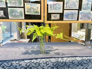 外交官の家　カラーリーフ（イポメア）