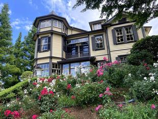 外交官の家　夏のお花