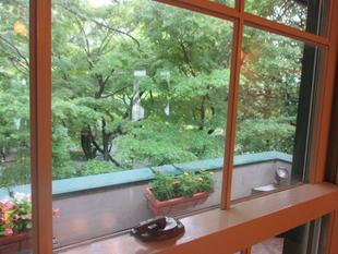 山手234番館 ギャラリー展示のご案内