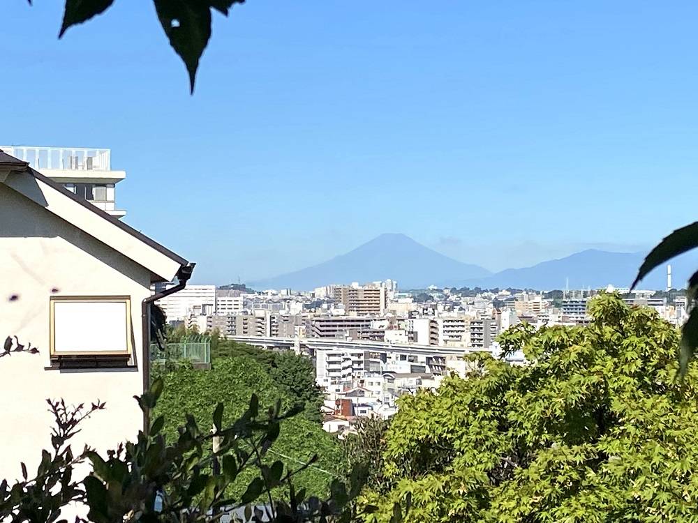 夏の富士山の写真