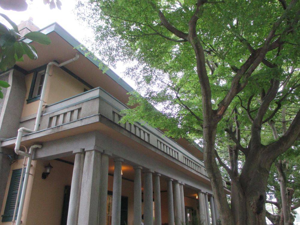 山手234番館 夏のもみじの写真