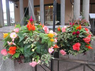 山手234番館　秋のハンギングバスケットとプランター