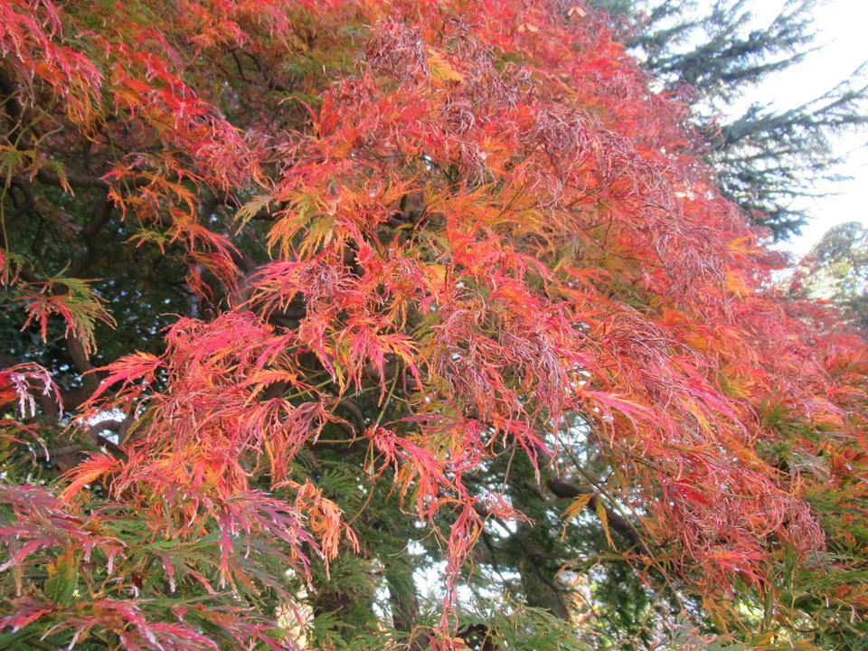 ベリック・ホール 紅葉と冬の準備の写真
