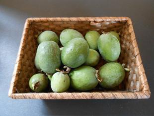 山手111番館のお庭 ３