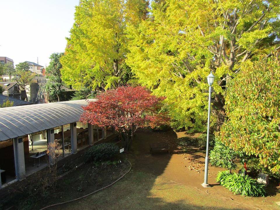 ブラフ18番館 ブラフ日記の写真