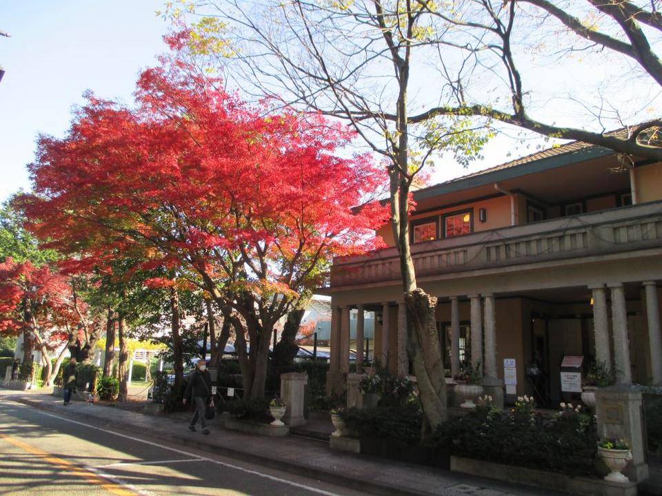 山手234番館の紅葉の写真