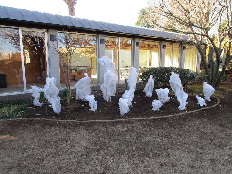 ブラフ18番館 ブラフ日記の写真