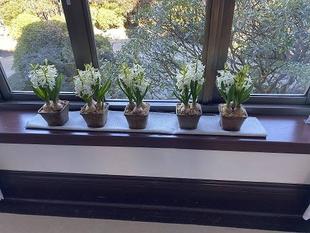 横浜市イギリス館　窓辺から