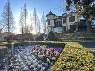 外交官の家　冬晴の朝