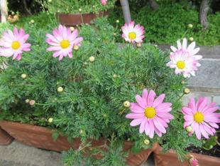 ベーリック・ホール 庭園の様子