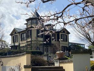 外交官の家 お庭の春