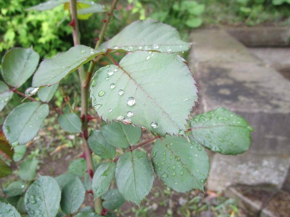 ブラフ18番館　花曇りの下での写真