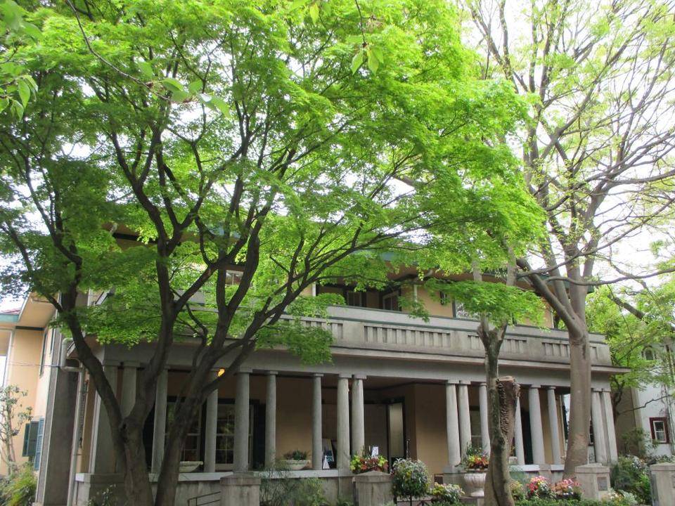 山手234番館 現在の紫陽花&モミジの写真