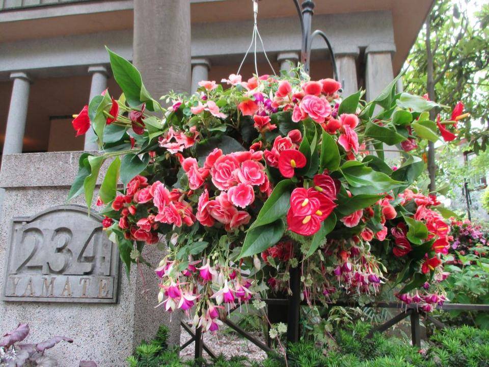 山手234番館 ハンギングバスケットとプランターの植え替えの写真