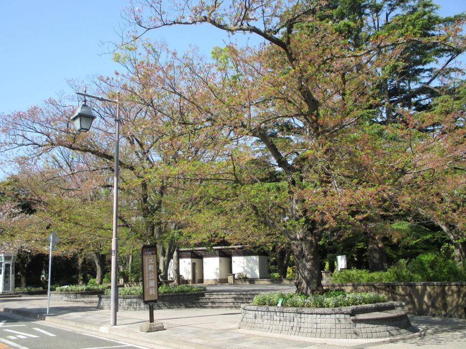 山手234番館 桜開花情報【2022年4月10日】の写真