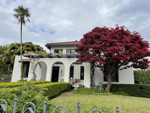 山手111番館　パーゴラの藤の花