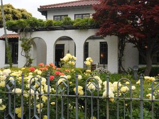 山手111番館　お庭のバラ