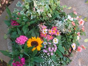 山手234番館　初夏のプランター