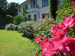 横浜市イギリス館 中庭のバラ