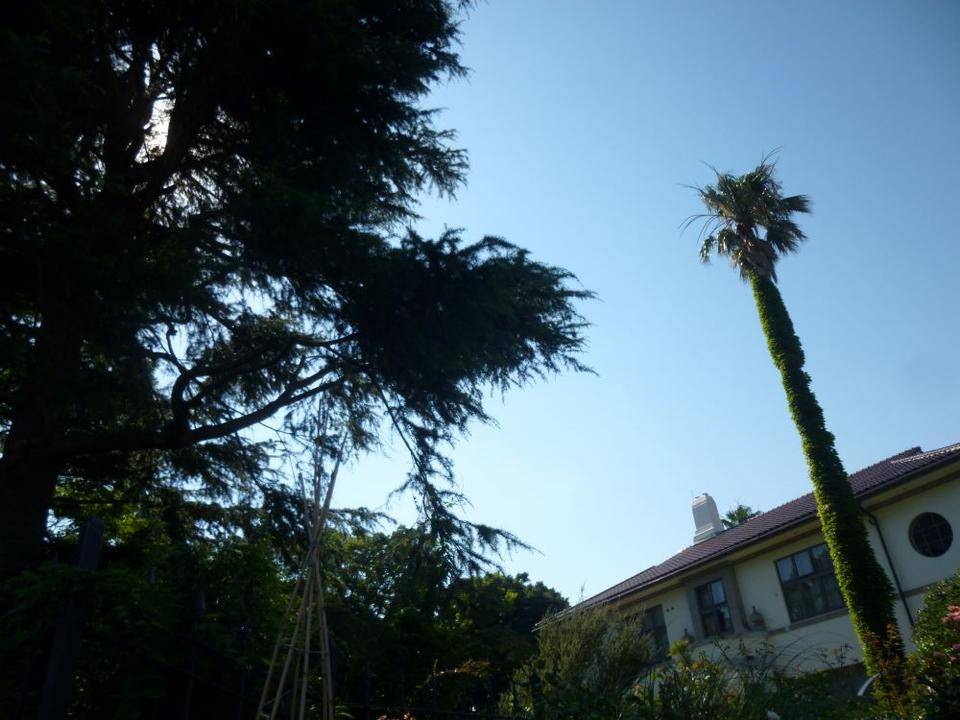 横浜市イギリス館　たまごが落下？！の写真