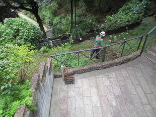 エリスマン邸　裏庭のり面の清掃